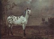 POTTER, Paulus A geschecktes horse Germany oil painting artist